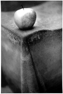 Image description is not available for 2010.068